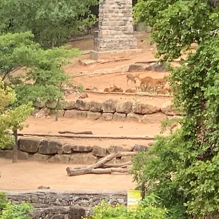 Vista Frontal Zoo Apartment *