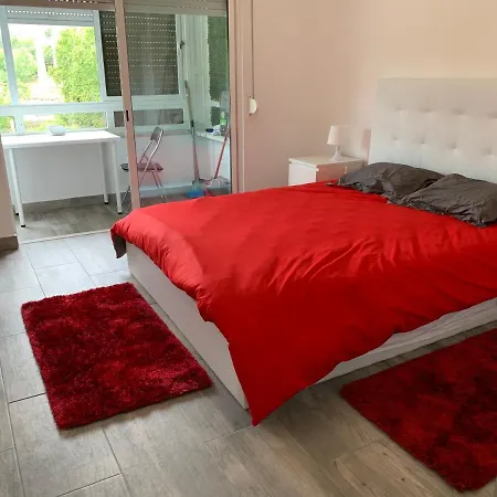 Vista Frontal Zoo Appartement