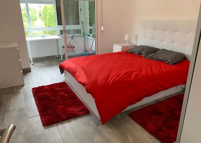 Vista Frontal Zoo Appartement