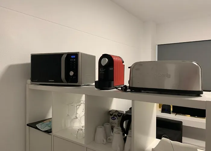 Апартаменты Vista Frontal Zoo